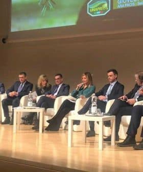 A panel of speakers seated on stage during a conference event, discussing various topics. - Olive Oil Times