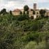 A hilltop village with stone buildings and a tower, surrounded by olive trees and greenery. - Olive Oil Times