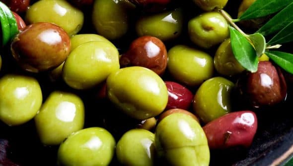 A bowl containing a variety of green and brown olives with leaves. - Olive Oil Times