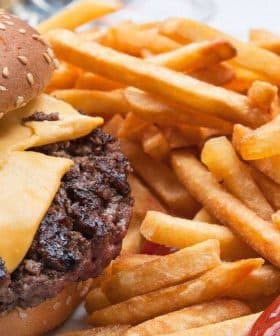 A cheeseburger with a slice of cheese and a side of French fries on a plate. - Olive Oil Times
