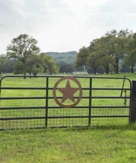 A metal gate featuring a star design in the center, set in a grassy field. - Olive Oil Times