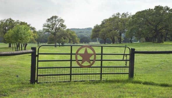 A metal gate featuring a star design in the center, set in a grassy field. - Olive Oil Times