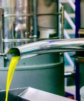 Metal olive oil extraction equipment with oil flowing from a spout into a container. - Olive Oil Times