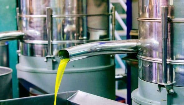 Metal olive oil extraction equipment with oil flowing from a spout into a container. - Olive Oil Times