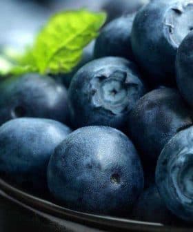 A bowl filled with fresh blueberries and mint leaves on top. - Olive Oil Times