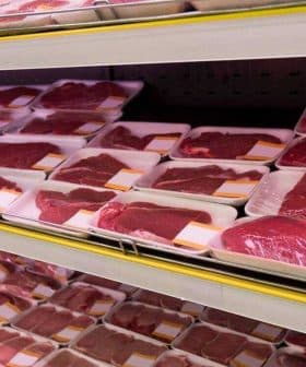 Various packages of red meat displayed on shelves in a supermarket meat section. - Olive Oil Times