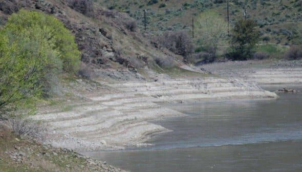 Riverbank showing vegetation and distinct layers of soil along the water's edge. - Olive Oil Times