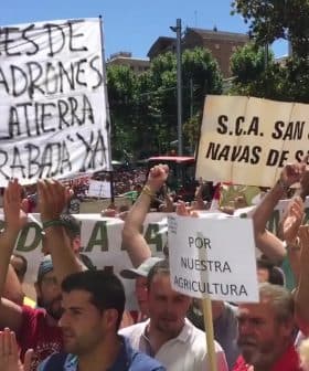Crowd of people holding signs during a protest in Jaén, Spain, advocating for agricultural issues. - Olive Oil Times