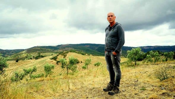 A man in a gray hoodie standing in a vineyard landscape with rolling hills and olive trees. - Olive Oil Times