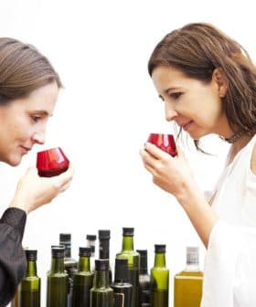Two women holding red tasting cups while smelling olive oil from bottles in front of them. - Olive Oil Times
