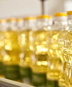 Row of clear plastic bottles filled with vegetable oil on a production line. - Olive Oil Times