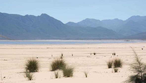 A dry landscape featuring sparse vegetation and distant mountains under a clear blue sky. - Olive Oil Times
