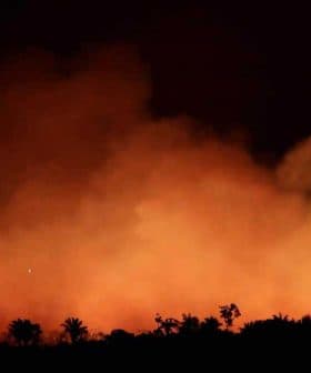 Thick smoke and flames rising in a dark environment, creating an orange glow. - Olive Oil Times