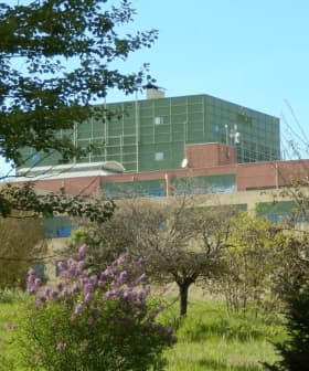 Building of the University of Ioannina partially obscured by trees and vegetation. - Olive Oil Times