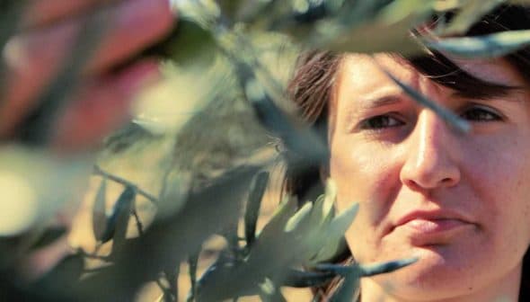 Woman closely examining olive tree leaves in a natural setting. - Olive Oil Times