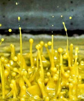 Yellow paint splashes creating droplets in an abstract pattern. - Olive Oil Times
