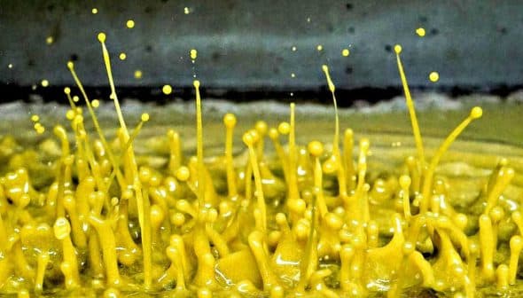 Yellow paint splashes creating droplets in an abstract pattern. - Olive Oil Times