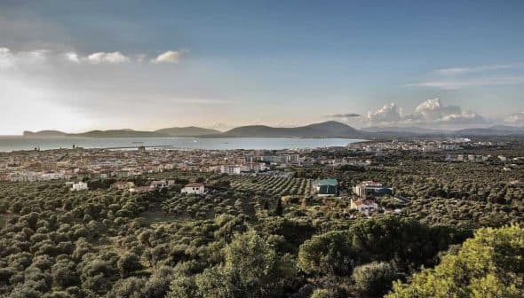 A panoramic view of a coastal landscape featuring olive groves and a distant shoreline under a cloudy sky. - Olive Oil Times