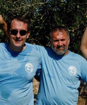 Four individuals wearing blue t-shirts posing together outdoors under olive trees. - Olive Oil Times