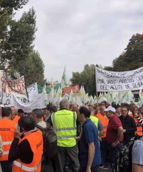 Crowd of protesters wearing orange vests holding banners regarding olive oil prices. - Olive Oil Times