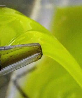 Stream of bright green extra virgin olive oil flowing from a mill spout into a container. - Olive Oil Times