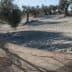 Two individuals collecting olives using a net in an olive grove in Andalusia. - Olive Oil Times