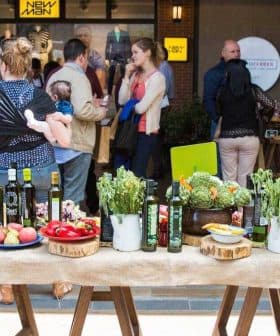 A table featuring various bottles of olive oil and fresh produce at an event. - Olive Oil Times