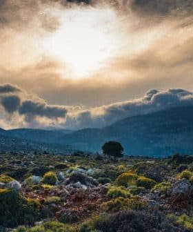 A landscape featuring a tree, rocky terrain, and a cloudy sky with sunlight breaking through. - Olive Oil Times