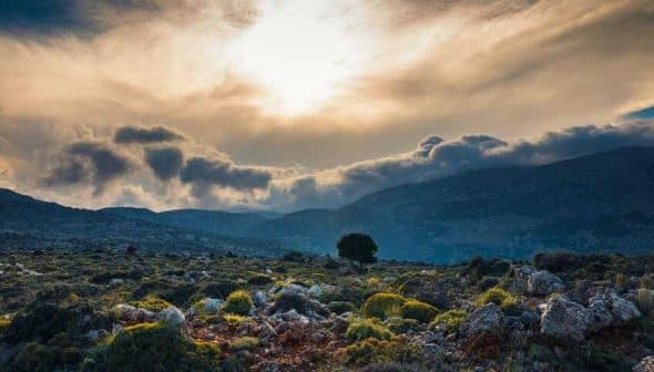 A landscape featuring a tree, rocky terrain, and a cloudy sky with sunlight breaking through. - Olive Oil Times