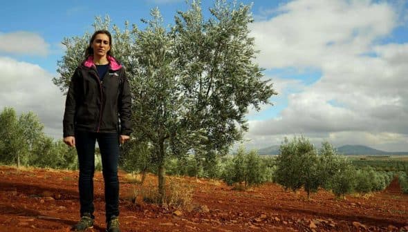 Individual standing in an olive grove with green trees and red soil in the background. - Olive Oil Times