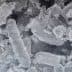 Microscopic view of Lactobacillus pentosus bacteria with a textured surface and irregular shapes. - Olive Oil Times