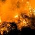 Intense flames engulfing trees and vegetation during a forest fire, with smoke rising into the air. - Olive Oil Times