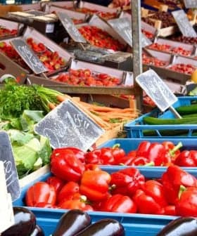 Colorful assortment of fresh vegetables and fruits arranged in crates at a market. - Olive Oil Times