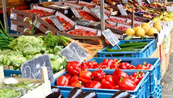 Colorful assortment of fresh vegetables and fruits arranged in crates at a market. - Olive Oil Times