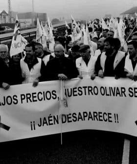 Group of individuals holding a large banner during a protest about low olive oil prices. - Olive Oil Times