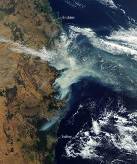 Satellite view showing smoke from bushfires over Eastern Australia, including Brisbane and Sydney. - Olive Oil Times