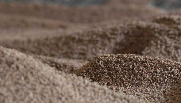Close-up view of a textured pile of grain with a sandy appearance and varying heights. - Olive Oil Times