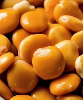 A bowl filled with yellow split peas, showcasing their smooth and shiny surface. - Olive Oil Times