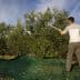 Person using a pole to harvest olives from an olive tree with a green tarp below. - Olive Oil Times