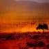 A solitary olive tree stands in a dusty landscape with a reddish hue and rocky terrain. - Olive Oil Times