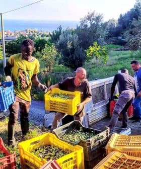 Nelson Mandela Social Cooperative