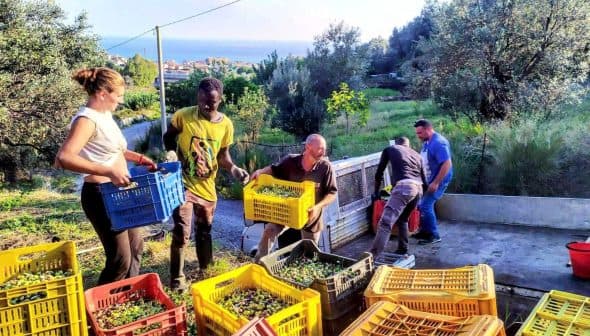 Nelson Mandela Social Cooperative