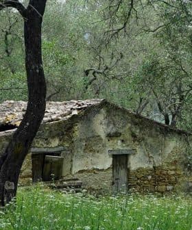 Old stone house with a weathered roof, partially covered by grass and trees. - Olive Oil Times