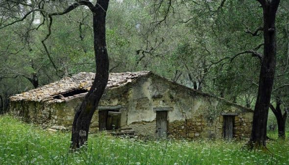 Old stone house with a weathered roof, partially covered by grass and trees. - Olive Oil Times