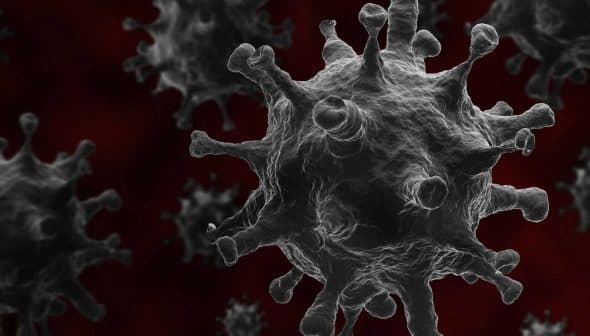 Microscopic view of a virus with spiky surface structures against a dark background. - Olive Oil Times