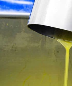 Stream of yellow olive oil pouring from a metal spout into a container. - Olive Oil Times