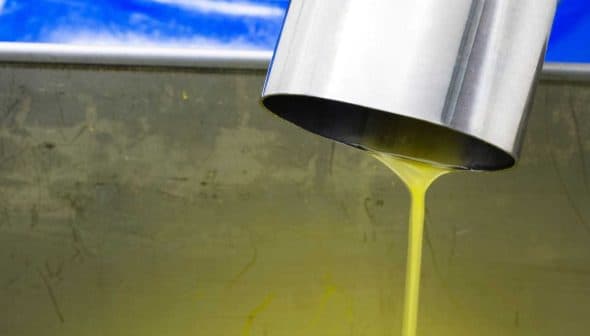 Stream of yellow olive oil pouring from a metal spout into a container. - Olive Oil Times