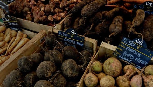 Selection of root vegetables including black radishes, turnips, and carrots in wooden crates at a market. - Olive Oil Times