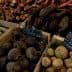 Selection of root vegetables including black radishes, turnips, and carrots in wooden crates at a market. - Olive Oil Times