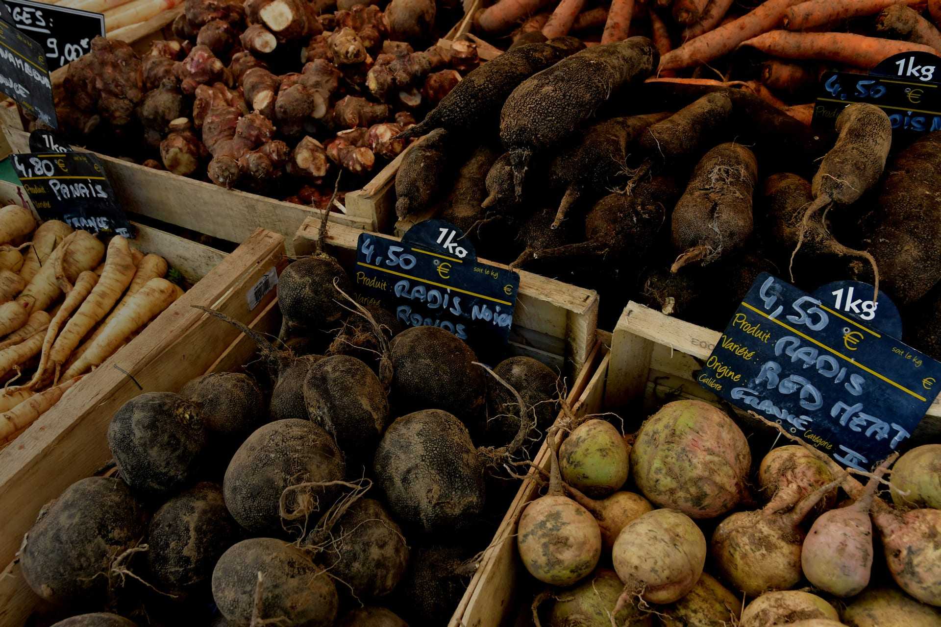 Selection of root vegetables including black radishes, turnips, and carrots in wooden crates at a market. - Olive Oil Times